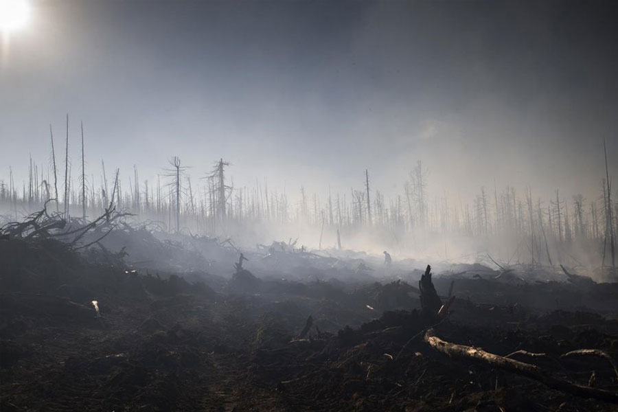 Forets de Sibérie - désolation après les incendies destructeurs dus au réchauffement de la région